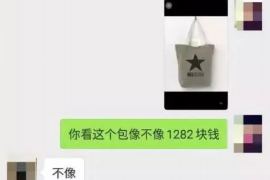 岭东如果欠债的人消失了怎么查找，专业讨债公司的找人方法